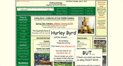 Desktop Screenshot of hurleybyrd.com